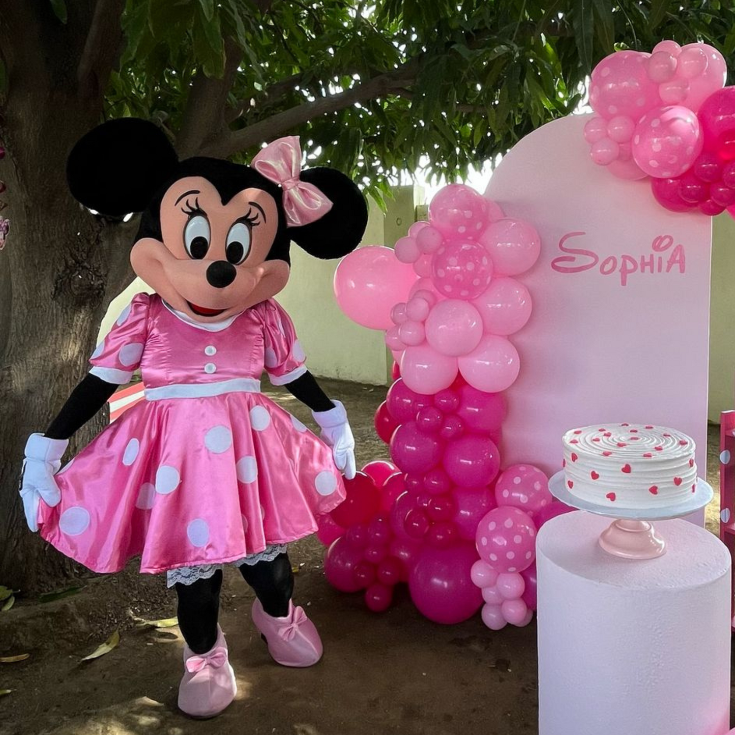 Original Pink Dress Minnie