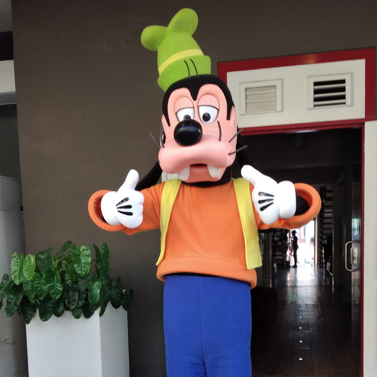Goofy